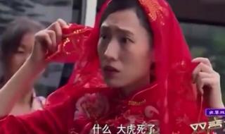 普法栏目剧古镇奇谭之迷雾讲述的是什么 普法栏目剧古镇奇谭