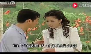 木棉花开的时候主题曲 木棉花的春天片尾曲